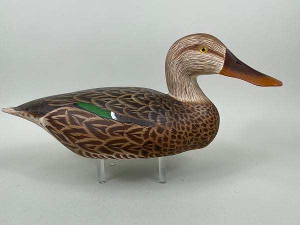 Ken Harris   Tom Ferguson Shoveler Hen (#6556) - Muddy Water Decoys