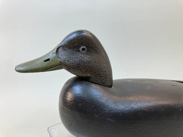 John McLoughlin Black Duck, Circa 1920's (#5510) - Muddy Water Decoys