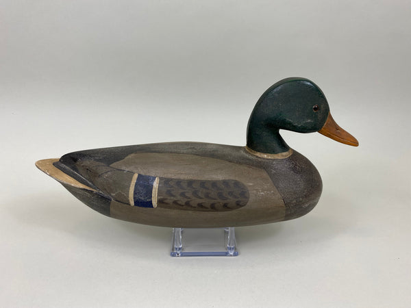 Ken Greenlee Mallard Drake, Burlington Iowa (#7431) - Muddy Water Decoys